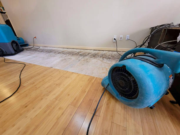 Professional Water Damage Repair technician working in Chester, IL